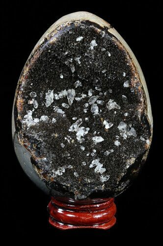 Septarian Dragon Egg Geode - Black Crystals #54551